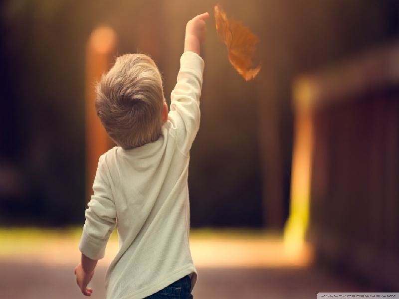 输卵管 造影的费用（蘑菇育种试管规格）——