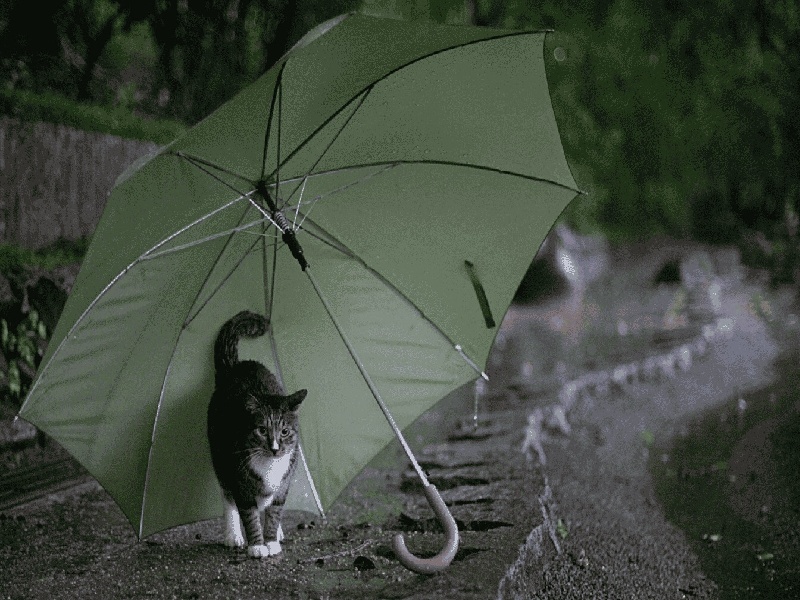 <strong>北川试管婴儿（试管移植二胎过程）</strong>