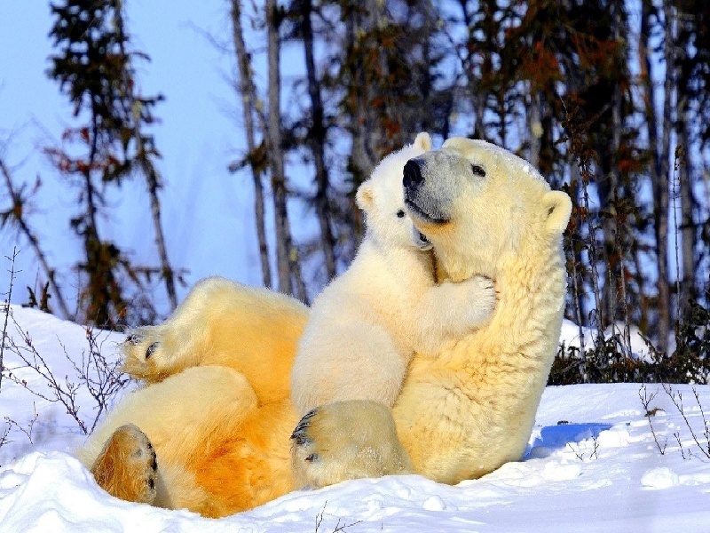 南宁化学试管的用处（试管婴儿分步费用）