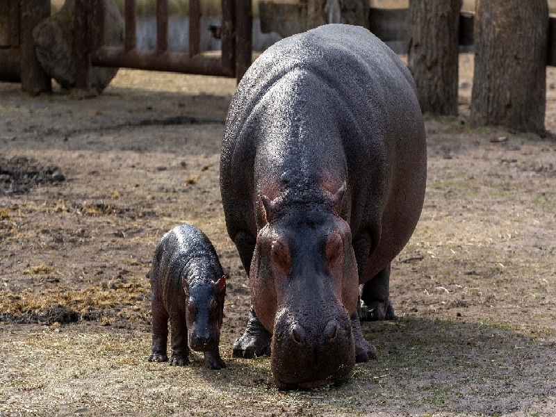南宁代怀最好医院,泰国试管价格高吗？-南宁有没有供卵机构_南宁供卵试管医院